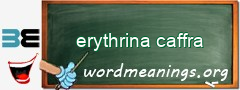 WordMeaning blackboard for erythrina caffra